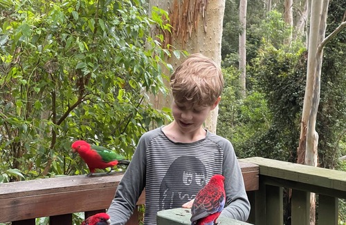 Salisbury Cabin | Tallgums - Immerse Yourself in Ancient Rainforest