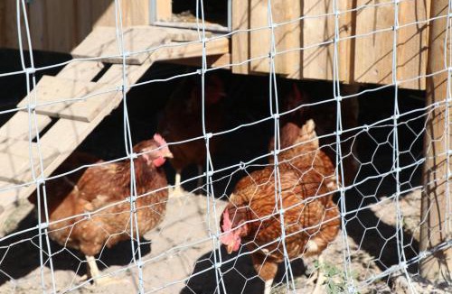 Glendon Brook House | Tangory Farmstay