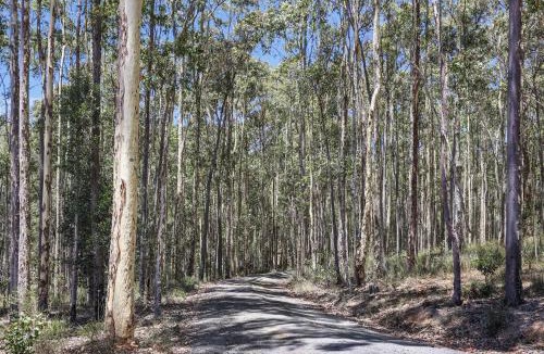 Nelson House | Tathra Bermagui Road 613
