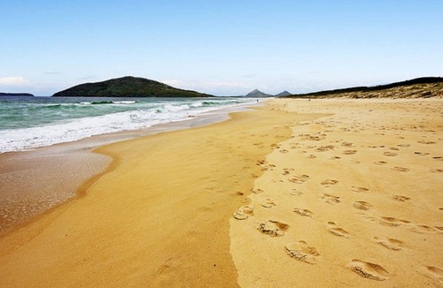Hawks Nest House | The Beach Townhouse-Holiday Heaven PETS WELCOME!