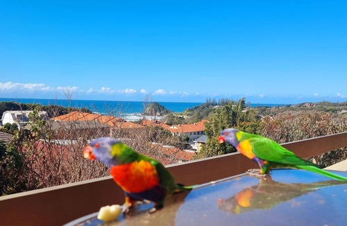 Port Macquarie Apartment | The best climate in New South Wales, and arguably the best view in Flynns Beach!