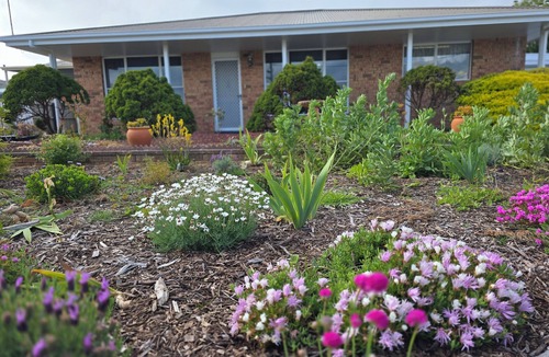 Stanley House | @ THE FLOWER BEDS Walk to town and beach