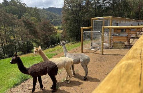 Noojee Apartment | The Grandview Retreat, Riverside Farmstay Escape