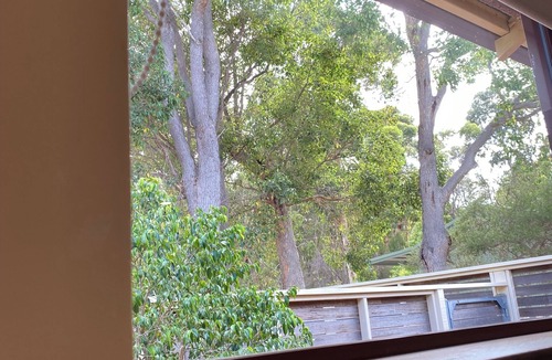 Margaret River Apartment | The Green Room. Self Contained King Suite on a beautiful property.