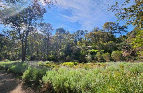 Mundaring Apartment | The Lavender Patch