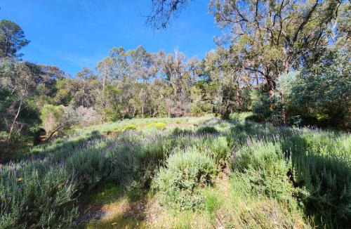 Mundaring Apartment | The Lavender Patch