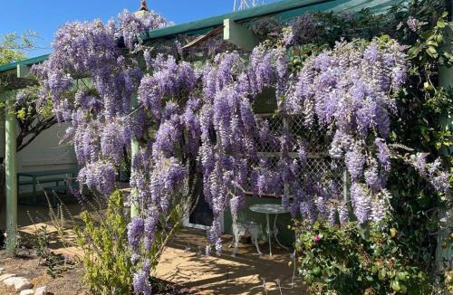 Merredin Apartment | The Merredin Treasury Cottage