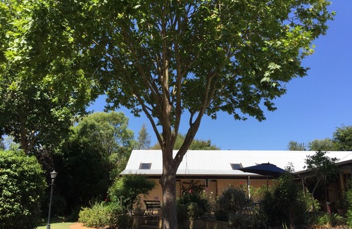 Cowaramup Other | The Noble Grape Guesthouse