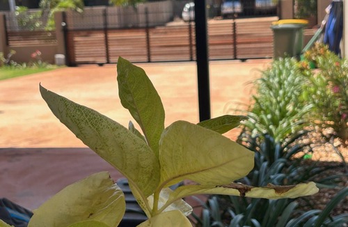 Djugun House | The Sandpiper Escape