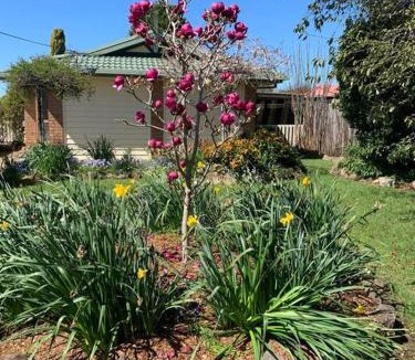 Moss Vale House | The Scotty House - EV and pet friendly