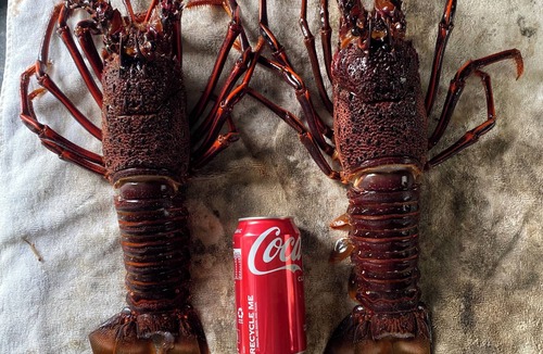Cervantes House | THE TURQUOISE HOUSE close to beaches lake theitis the pinnacles & fresh lobster!