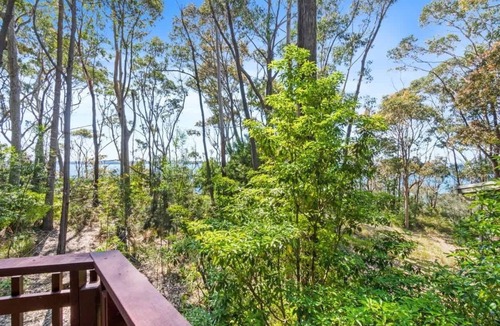 Lilli Pilli House | Towering Gums