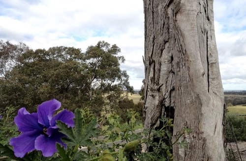 Sarsfield House | Unique Cottage Surrounded by Farmland near Gippsland Lakes, Victoria, Australia