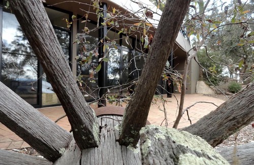 Sarsfield House | Unique Cottage Surrounded by Farmland near Gippsland Lakes, Victoria, Australia