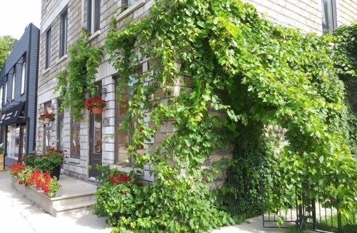 Farnham Apartment | Vieux-Old Farnham Appart Condotel1