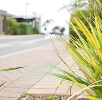 Kingscote Apartment | Villas on the Bay Kingscote