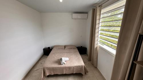Remire Montjoly Apartment | Vista - Route des plages - Destination Guyane