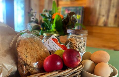 Lunawanna House | Waterfront Cabin Retreat - Sea Views with Breakfast Hamper & Local Produce