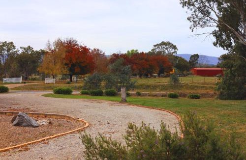 Homewood Apartment | Wattleseed Cabin at Homewood Lodge