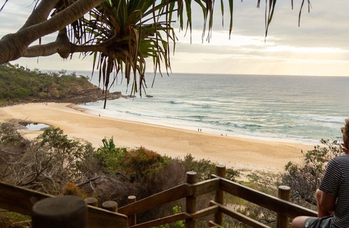 Sunshine Beach Apartment | Whale season is upon us, watch from your balcony