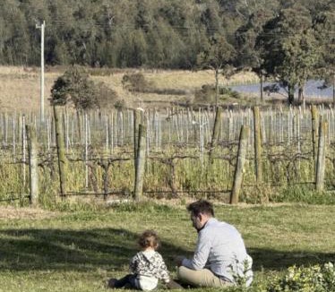 Lovedale Apartment | Whispering Vines