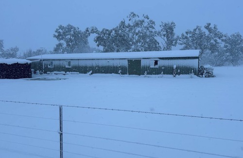 Saumarez Ponds Apartment | Winter Quickie. Come to Uralla-Armidale for a cool, snuggle-inducing farm stay.