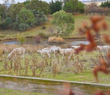 Orange House | Wren Hill - Dreamy Home with Spectacular Views