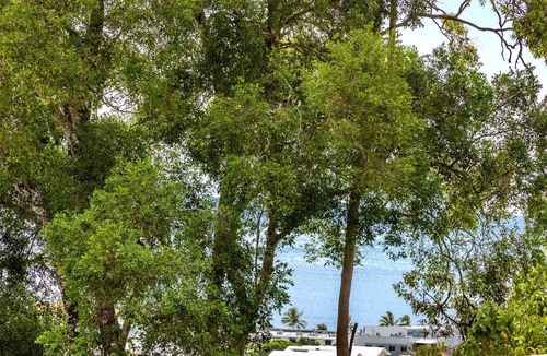 Noosa Heads Apartment | Yaringa 6 Noosa Heads