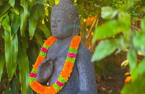 Nightcliff House | Zenhouse: 6-BR Balinese Tropical Oasis in Nightcliff Central