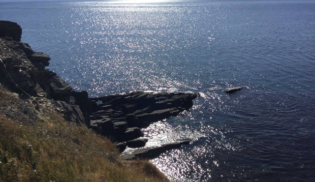 A 2 bedroom home in English Harbour, Trinity Bay. Ocean views and hiking. in English Harbour