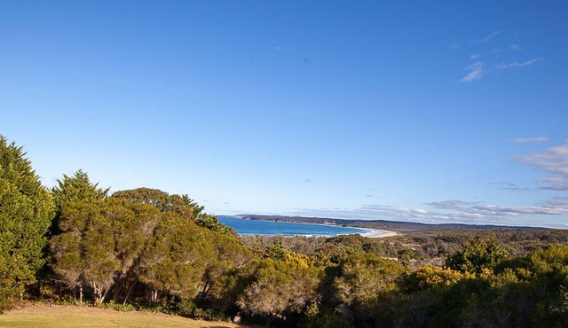 Adelong - Tathra Bermagui Road 4039