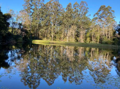 Amble Lea NSW Country escape