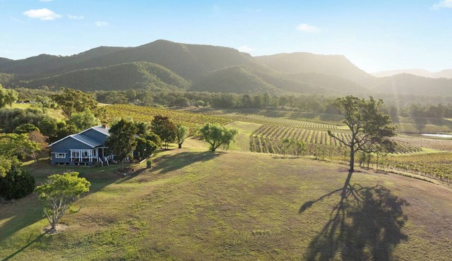 Audrey Wilkinson Vineyard - Pokolbin in Pokolbin
