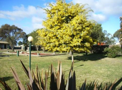 Bairnsdale Main Motel
