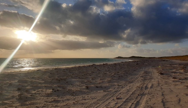 Beach Camp - Plenty of lawn with a 5min walk to the beach !