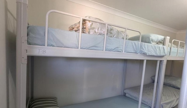 Bluetongue Hideout