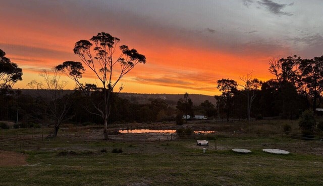 Boots & Tails Retreat | Horse, Dog & Family Stay