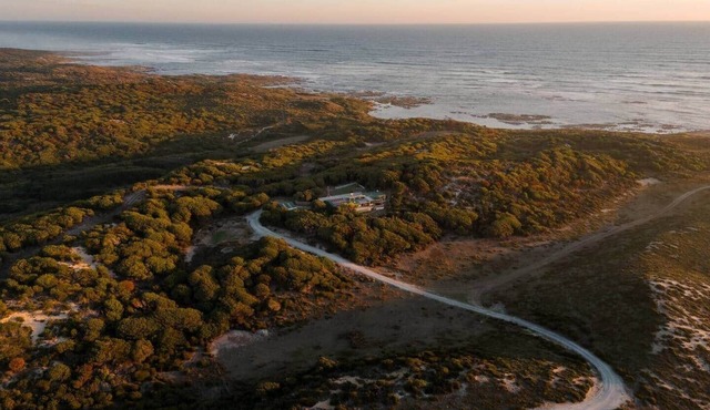 Buttons By The Beach (King Island coastal retreat)