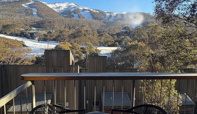cabin21 riverside - chalet accommodation on-snow in Thredbo