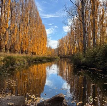 Carinya Village Jindabyne