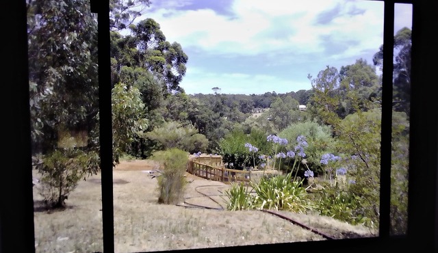Cosy Cabin Hideaway - peaceful, comfy, close to nature, river and town.