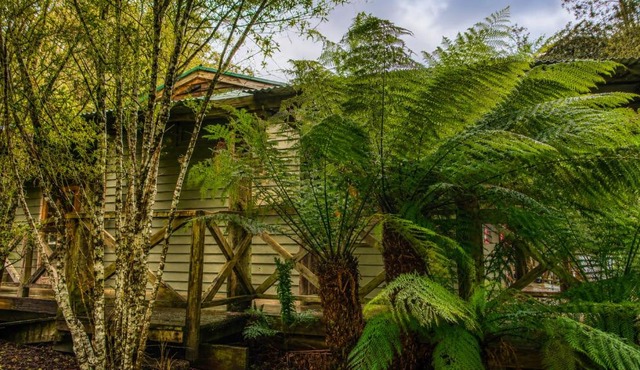 Cradle forest inn