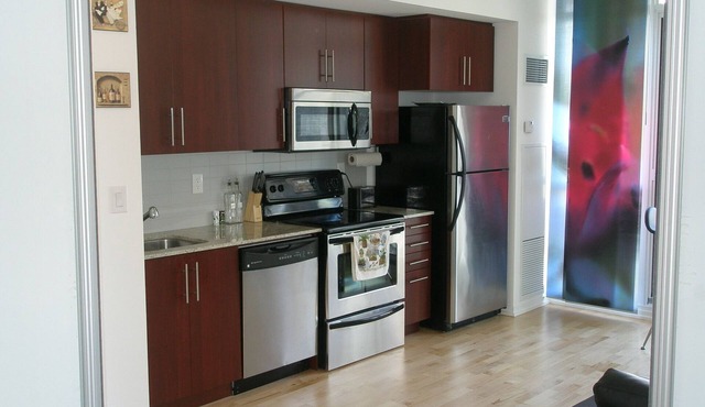 DOWNTOWN TORONTO LUXURY FURNISHED SUITE CN TOWER MTCC RIPLEY's AQUARIUM CITY in Toronto