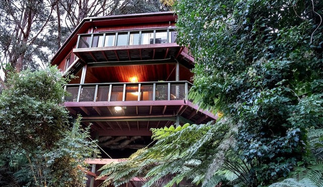 Gorgeous Octagonal Tree House Rental for a Unique Dandenong Ranges Accommodation near Melbourne