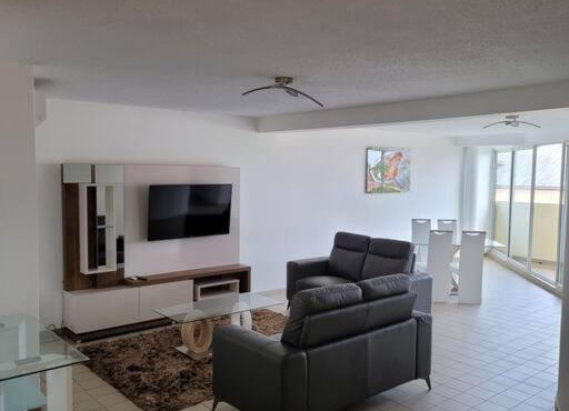 Hello Guyane (7), Grand Appartement Prestigieux F3