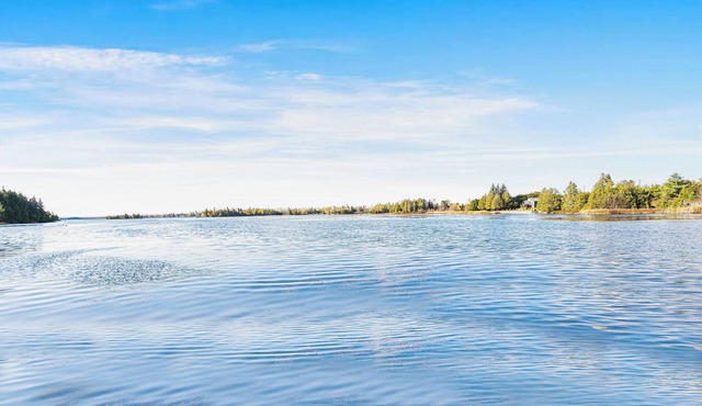 Kawartha Lakefront Cottage | Fire Pit, Scenic Views & Nature in Brechin