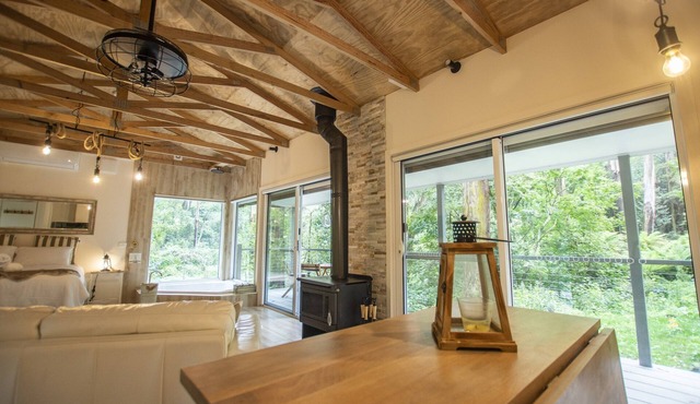 Klara's Romantic Studio at FernglenForestRetreat