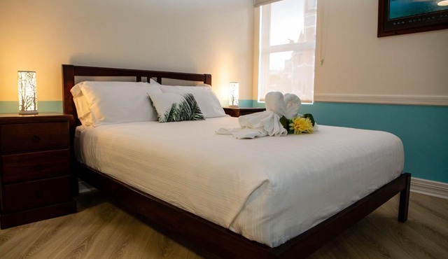 Lovely Studio Apartment in Downtown Albany