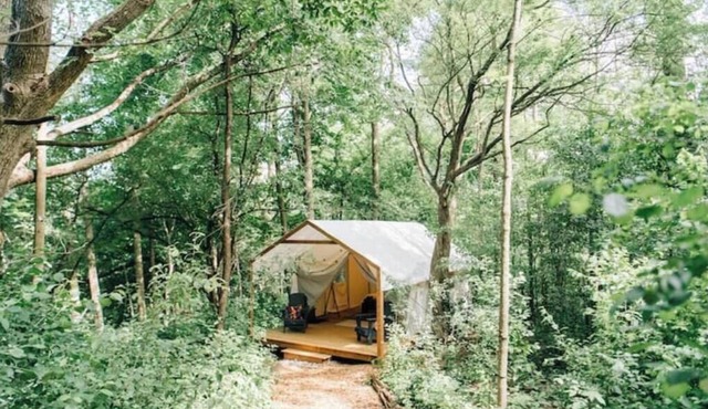 Luxury Glamping on Elora Flower Farm - Fox in Elora