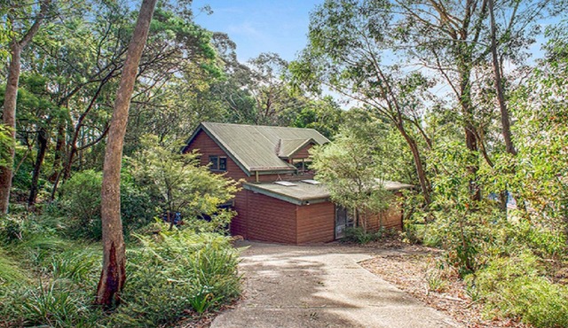 Lyrebird Peaceful Bush Location